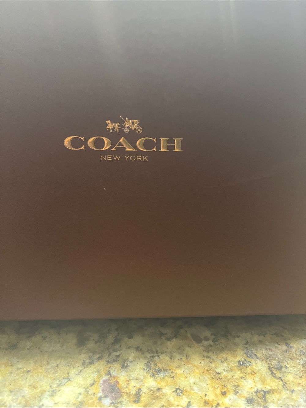 (CALLOUT) COACH Black Leather Fringe Open-Toe Mules with Gold Hardware - Picture 10 of 10